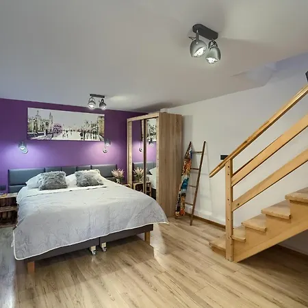 Borys Garaz Na Rowery I Narty Apartment Krynica Zdroj Exterior photo