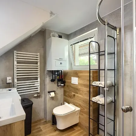 Borys Garaz Na Rowery I Narty Apartment Krynica Zdroj Exterior photo